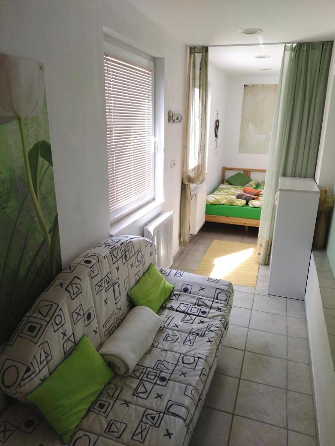 Apartma Peter1A Begunje na Gorenjskem Extérieur photo